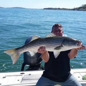 Meet your Posher, Peter